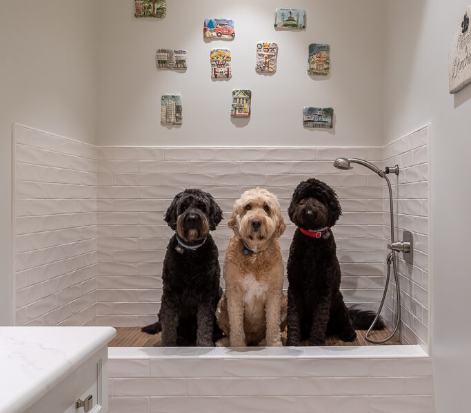 Designing a Successful Dog Shower