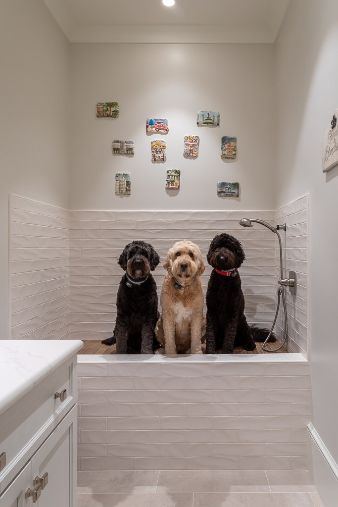 Designing a Successful Dog Shower